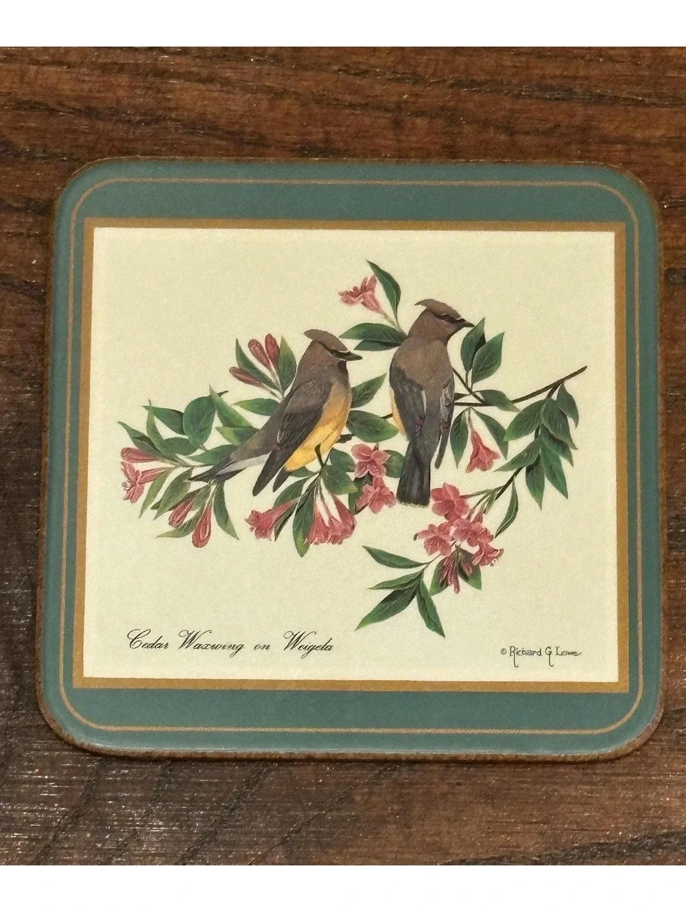 Vintage Pimpernel North American Song Birds Cork Back Coaster Set 5pc
